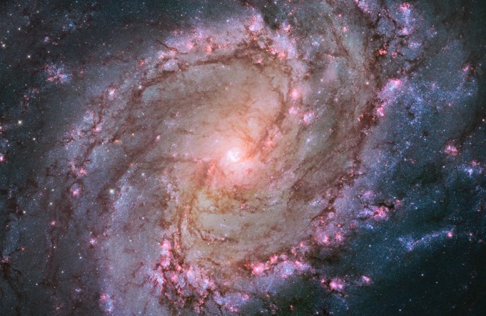 Космос. Галактика Южная вертушка - космос, южная вертушка, галактика, звезды - оригинал