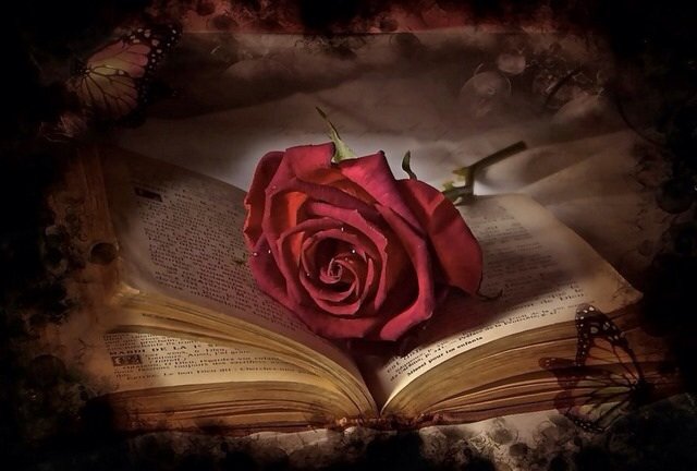 Роза и книга - цветы, книга, роза, розы - оригинал