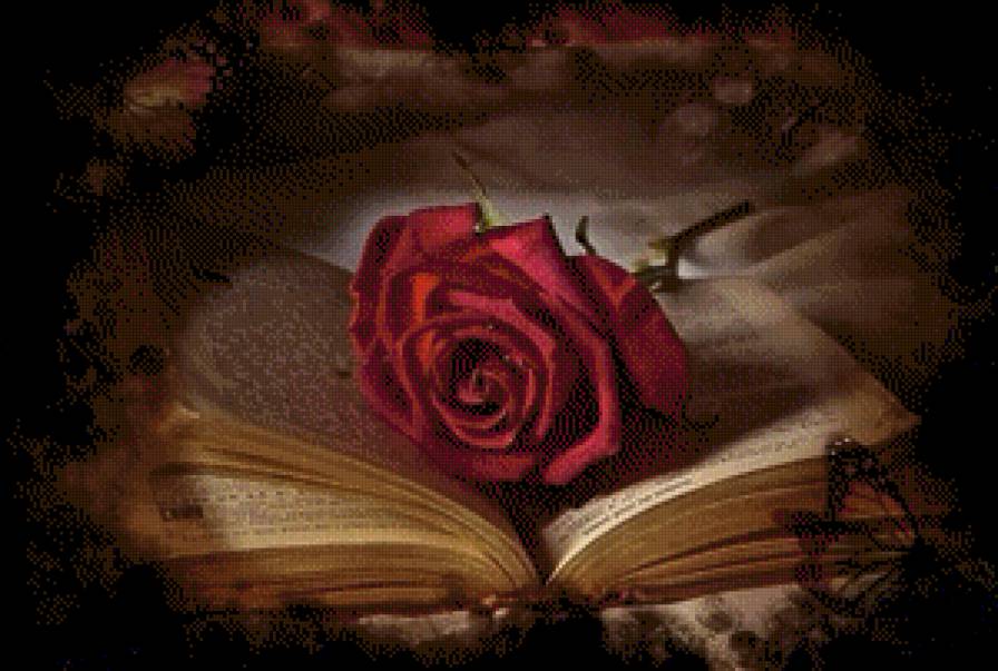 Роза и книга - книга, роза, цветы, розы - предпросмотр