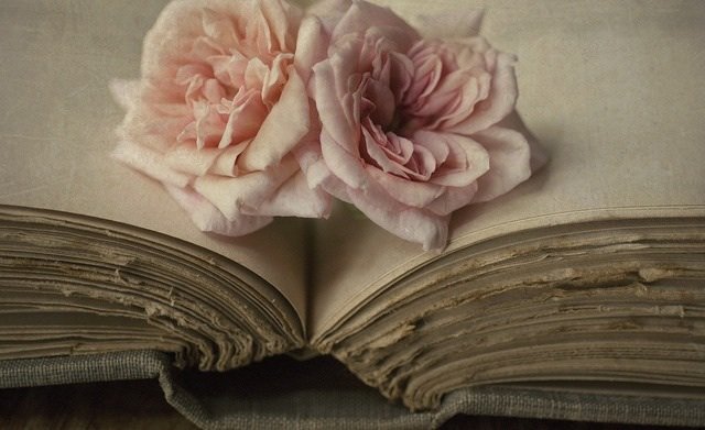 Розы - цветы, роза, розы, книги - оригинал