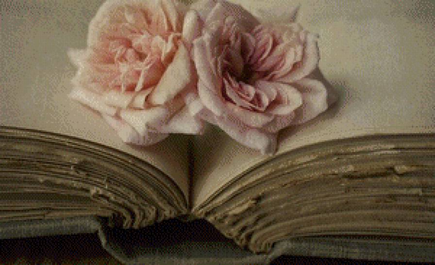 Розы - цветы, розы, роза, книги - предпросмотр
