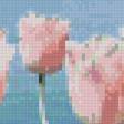 Предпросмотр схемы вышивки «розовые тюльпаны» (№1001664)