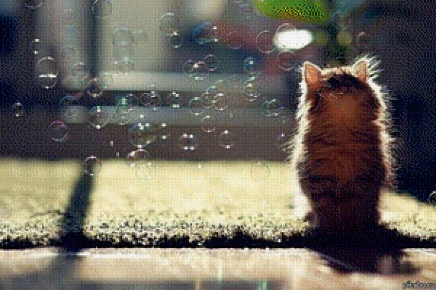 Мечтающий котенок - котенок мыльные пузыли - предпросмотр