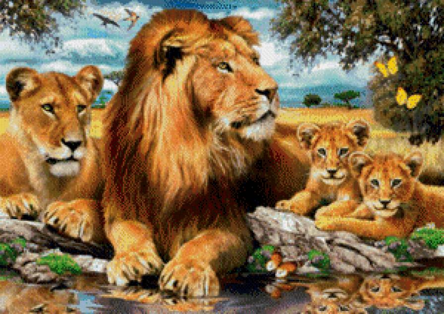 Счастливая львиная семья - животные, львы, семья - предпросмотр