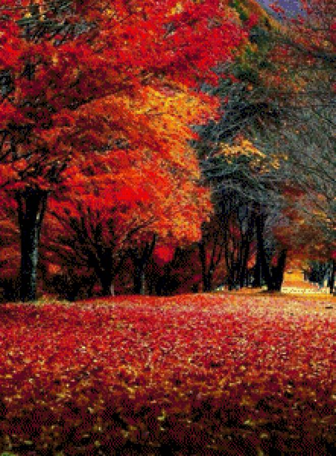 Осенние деревья - осень, деревья, листва - предпросмотр