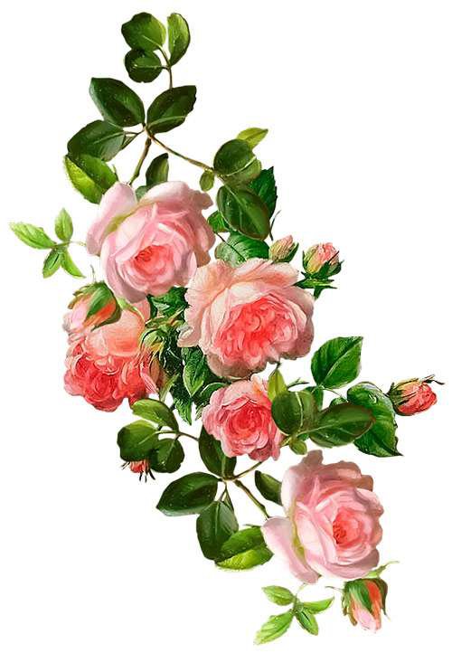 Винтажные розы - ретро, винтаж, розы, цветы, розовые розы, букет - оригинал