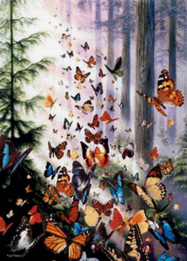 бабочки в лесу - бабочки, лес, свет - предпросмотр