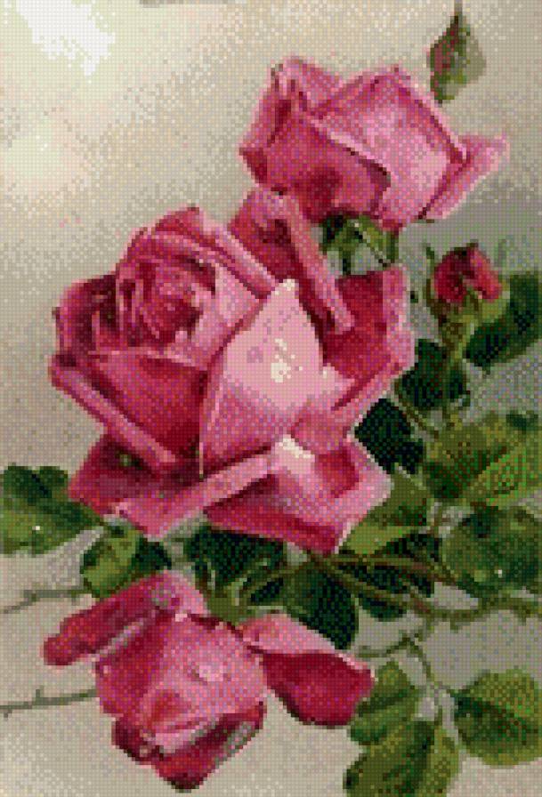 Розовая мечта - розы, ретро, цветы, букет, винтажные розы, винтаж, розовые розы - предпросмотр