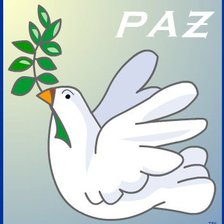 Схема вышивки «paloma de la paz 2»