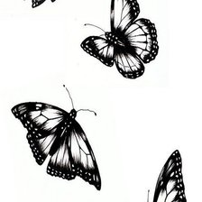 бабочки, вышивка