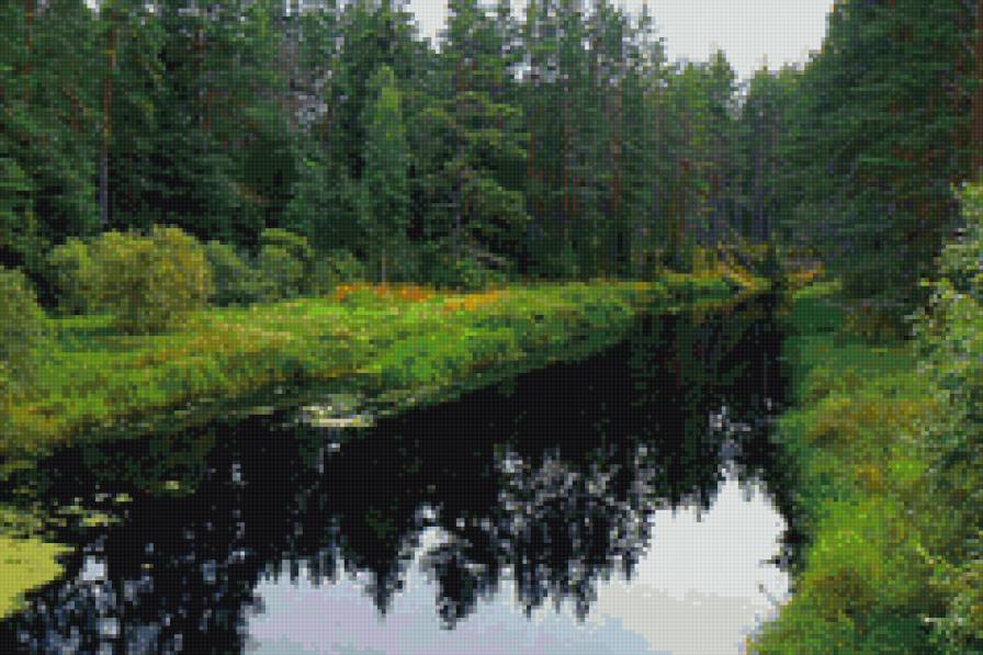 Лесная речка - лето, ели, река, природа, пейзаж, лес - предпросмотр