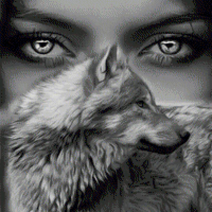 Волчий взгляд - волки, животные, люди - предпросмотр