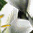 Предпросмотр схемы вышивки «белые лилии» (№1011498)