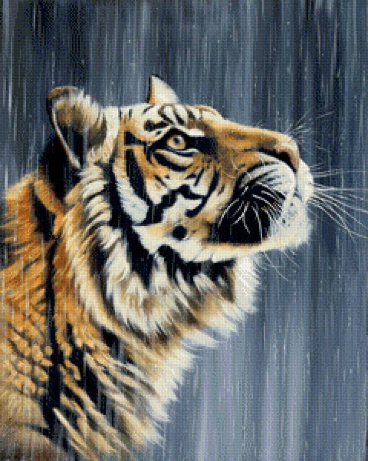 под дождем - тигры, животные, природа - предпросмотр