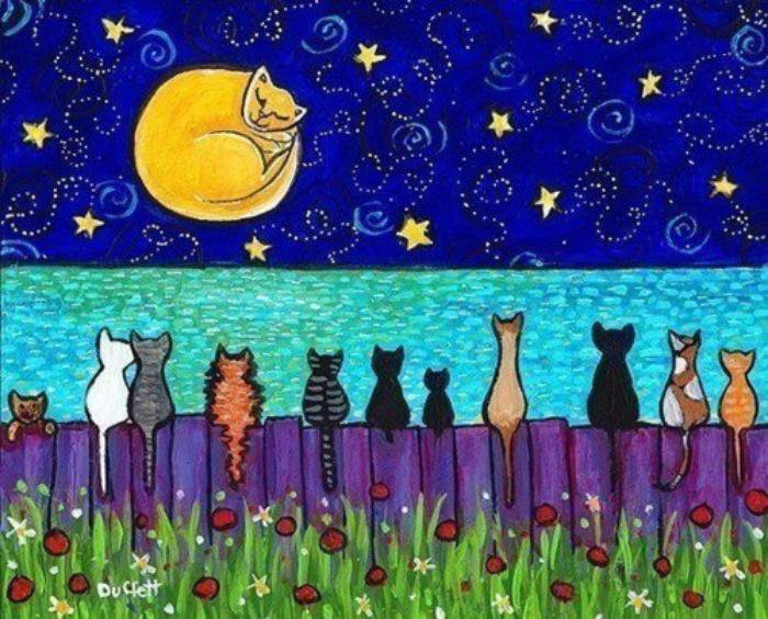 кошка луна - кошки, кошка луна, ночь, луна - оригинал