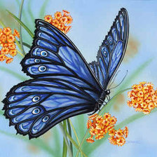 Оригинал схемы вышивки «бабочка на цветах» (№1013510)