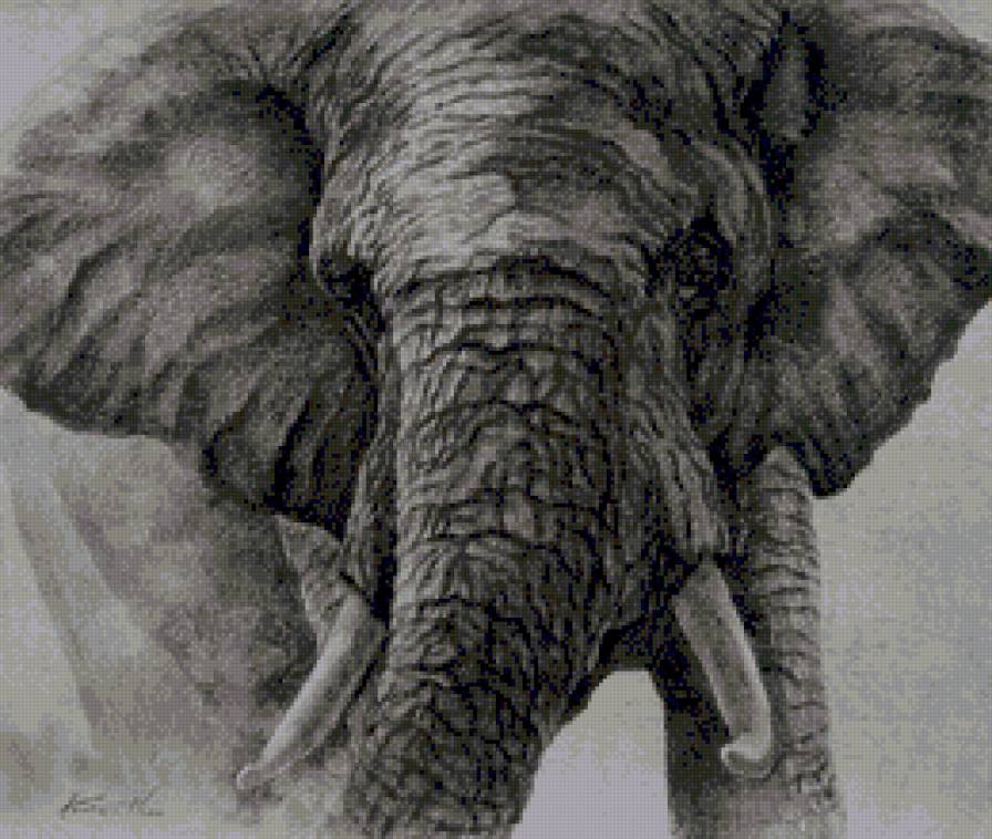 картина Кентаро Нишино - слон, власть, сила - предпросмотр