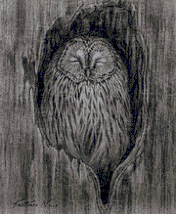 картина Кентаро Нишино - сова, мудрость - предпросмотр
