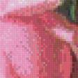 Предпросмотр схемы вышивки «Букет с розой. Художник Иоганн Самуэль Арнольд» (№1014830)