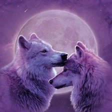Волки при луне