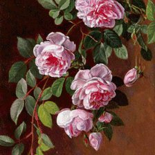Оригинал схемы вышивки «розы» (№1015874)