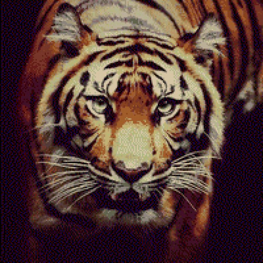 Тигр - кошка, тигр, зверь - предпросмотр