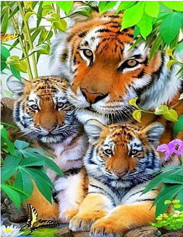 Тигриное семейство. - тигрята, джунгли, солнце, цветы, тигр - оригинал