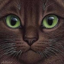 Кошка бусая. Зеленые глаза.