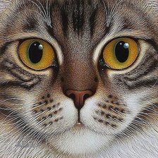 Оригинал схемы вышивки «Кошка с желтыми глазами.» (№1016882)