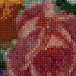Предпросмотр схемы вышивки «букет цветов» (№1016960)