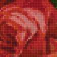 Предпросмотр схемы вышивки «розы» (№1017496)