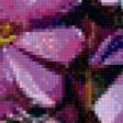 Предпросмотр схемы вышивки «нежные цветы» (№1018189)