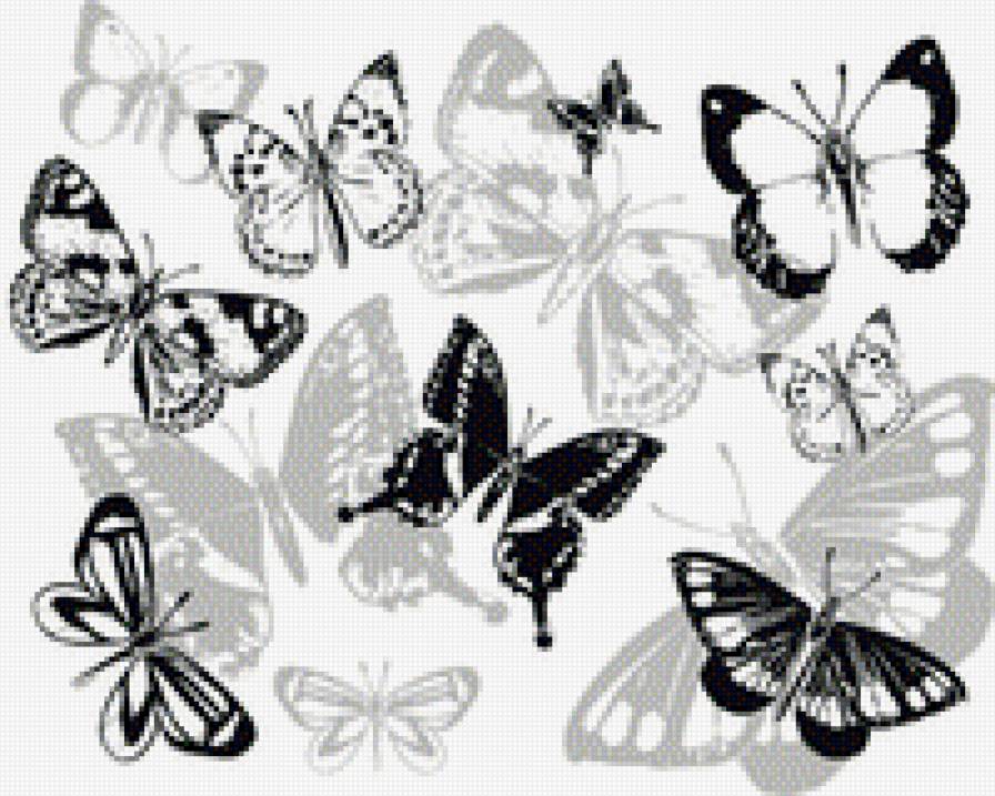 Бабочки - бабочки, черно белое - предпросмотр