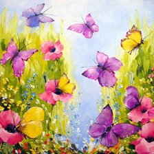 бабочки и цветы
