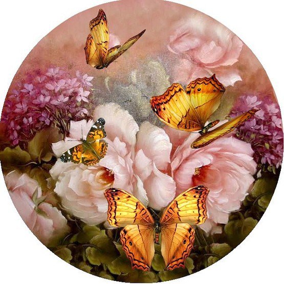бабочки на цветах - цветы, натюрморт, розы - оригинал