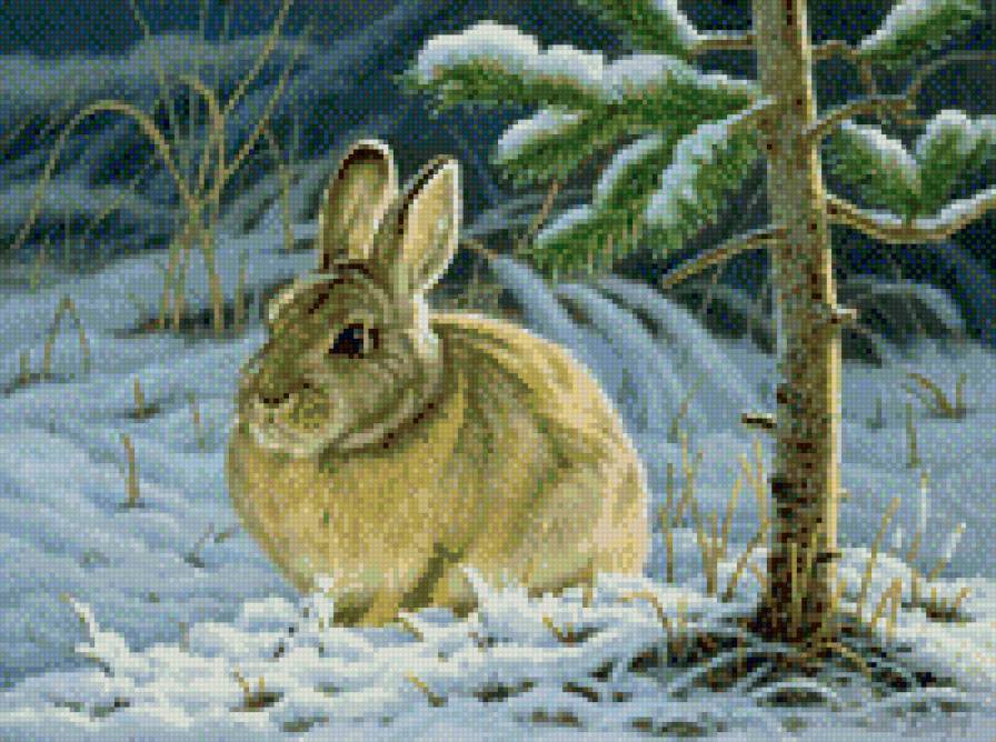 0235 - красота, заяц, животные, природа, живопись, картина, зима - предпросмотр