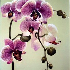 Оригинал схемы вышивки «орхидея» (№1023501)