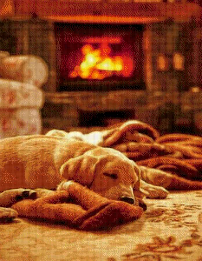 Уют - уют, счастье, животное, домашние животные, дом, тепло - предпросмотр