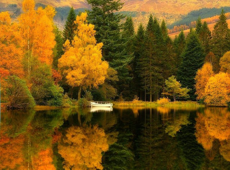 Золотая осень - пейзаж, осень - оригинал
