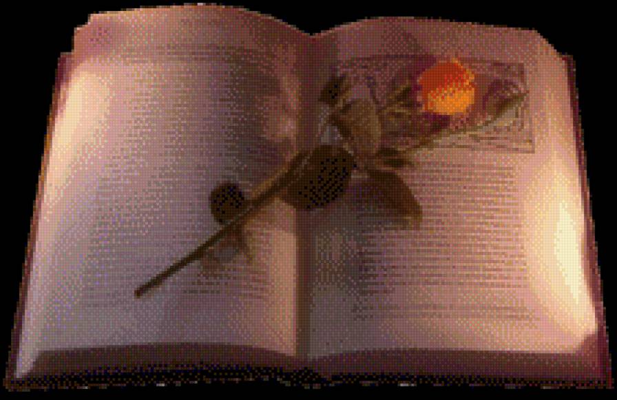роза и книга - розы - предпросмотр