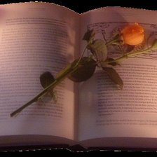 Оригинал схемы вышивки «роза и книга» (№1024782)