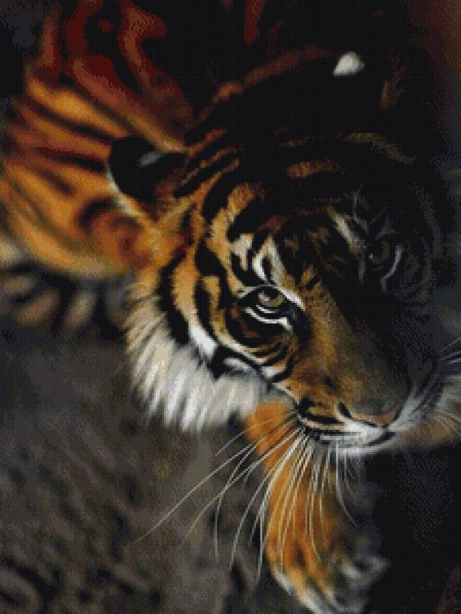 тигр - животные, кошки, хищники - предпросмотр