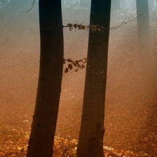 Осенний туман. Триптих ч.1