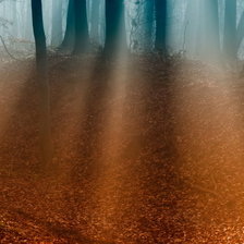 Схема вышивки «Осенний туман. Триптих ч.2»