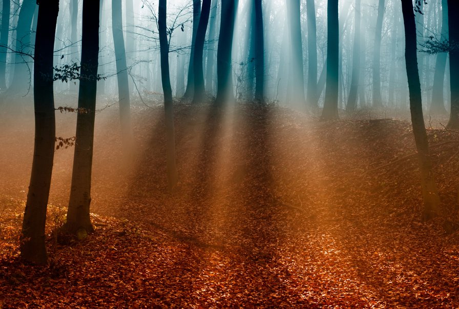 Осенний туман. Триптих (общий вид) - листья, туман, осень, триптих - оригинал