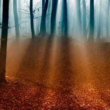 Осенний туман. Триптих (общий вид)