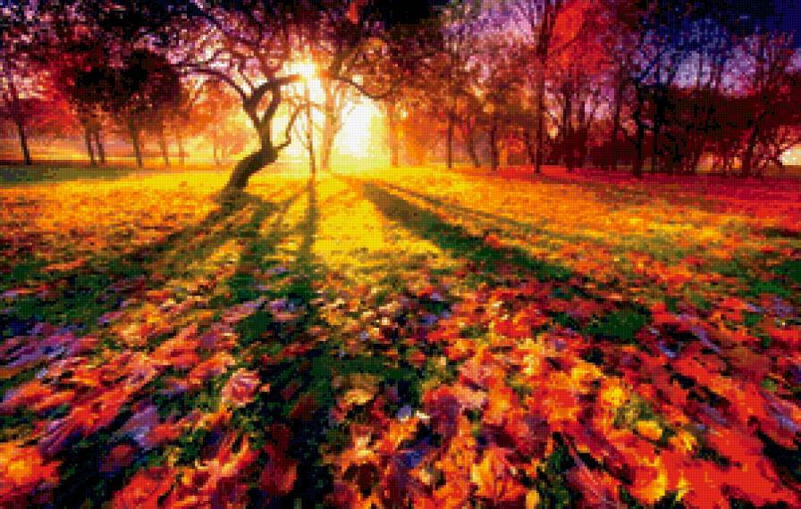 Цветная осень - осень, листья - предпросмотр