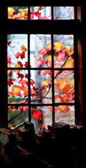 Осень за окном. Триптих ч.3 - в окне, за окном, окно, триптих, листья, осень - оригинал