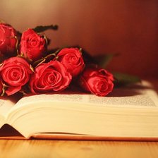Схема вышивки «розы и книга»