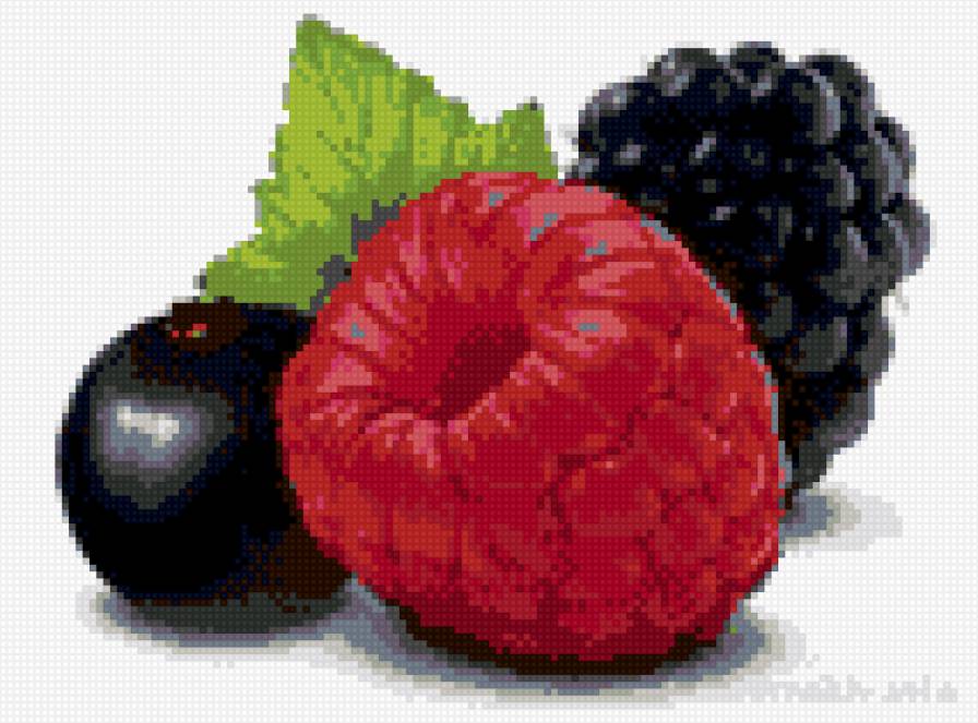ягоды.чер.сморода.малина.ежевика - ягоды.фрукты.малина.ежевика.черная сморода - предпросмотр
